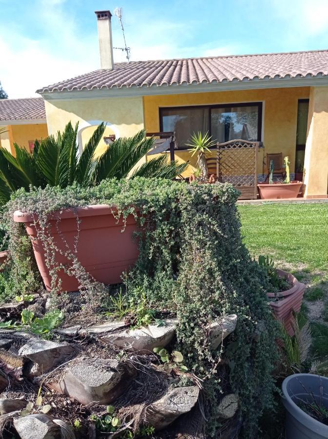 La Luce Del Sinis Villa Riola Sardo Eksteriør bilde
